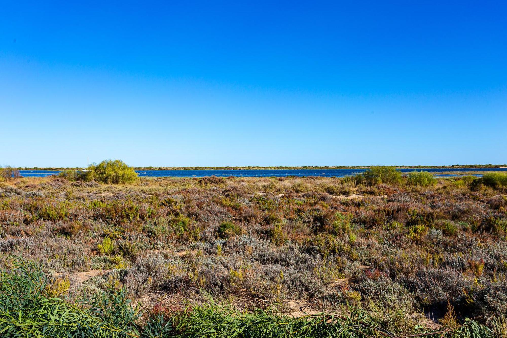 Nesha Cabanas Paradise Tavira Exterior photo
